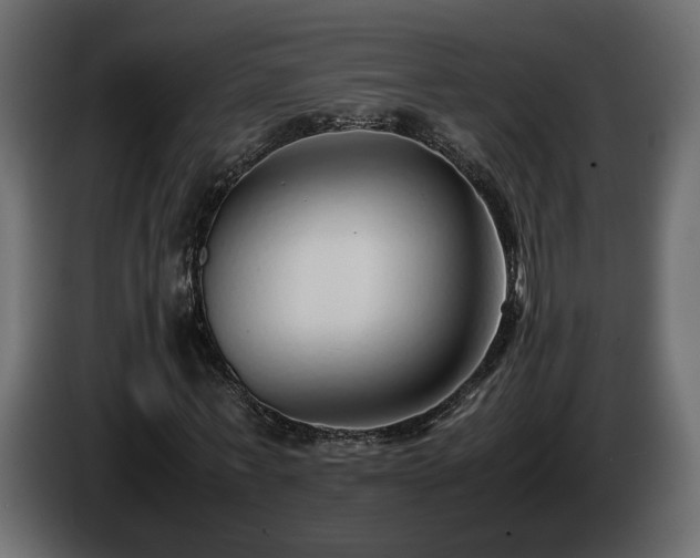 X0000085830771200703231419