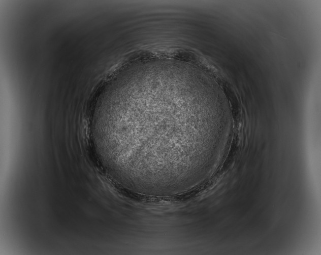 X0000085830772200703231419