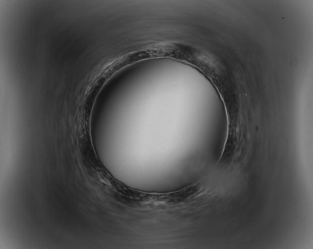 X0000085830773200703231419