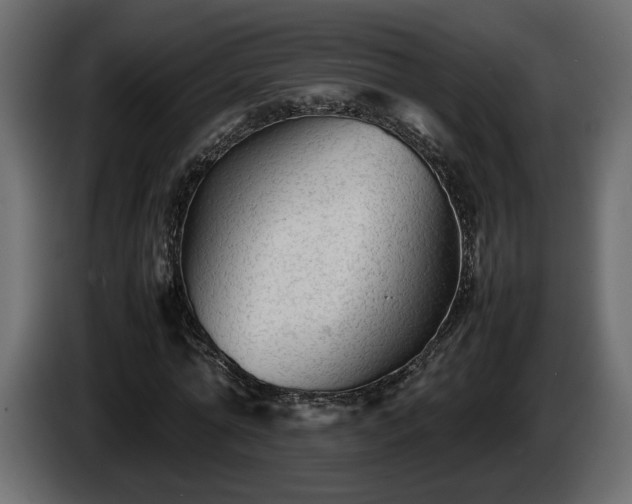 X0000085830774200703231419