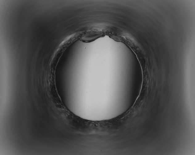 X0000085830776200703231419