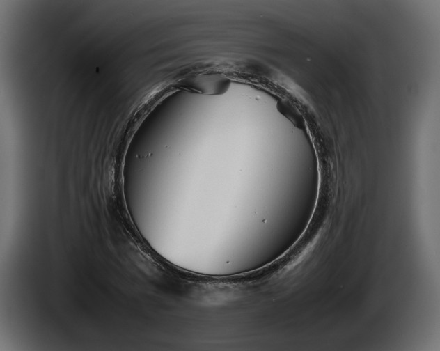 X0000085830777200703231419