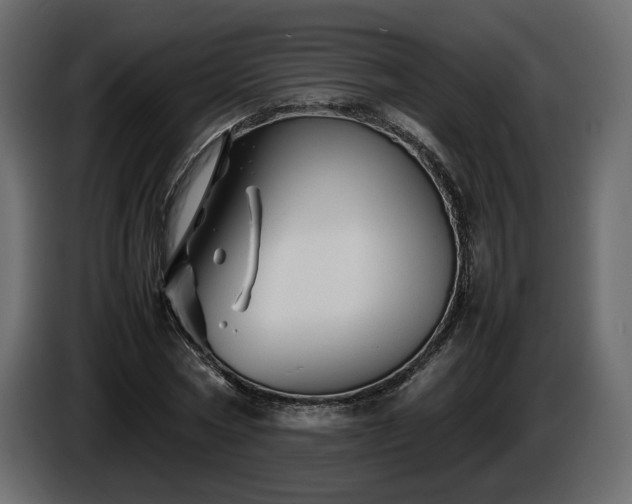 X0000085830778200703231419