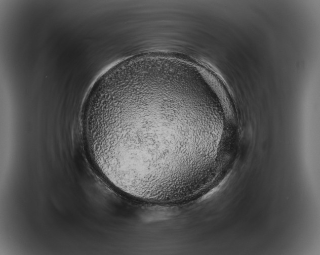 X0000085830779200703231419