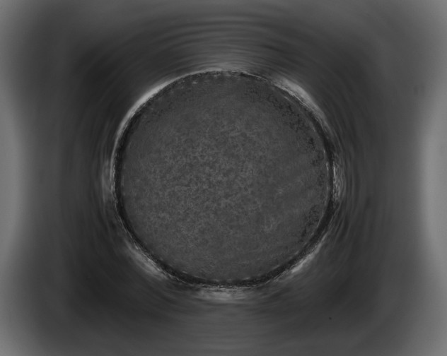 X0000085830780200703231419