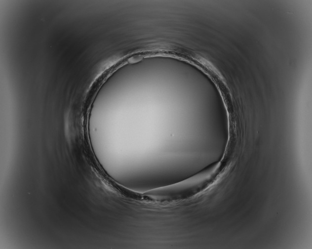 X0000085830781200703231419