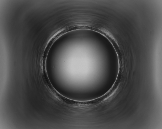 X0000085830782200703231419