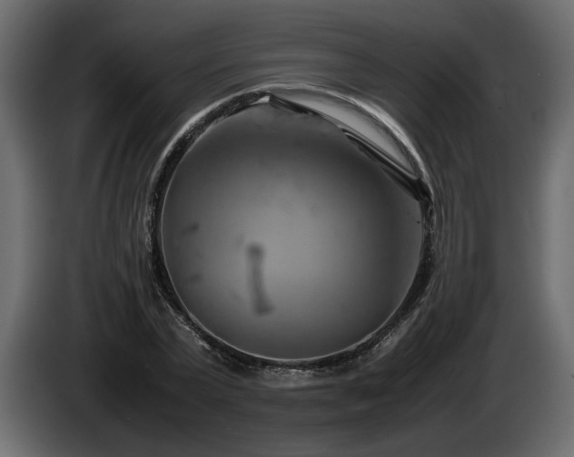 X0000085830783200703231419