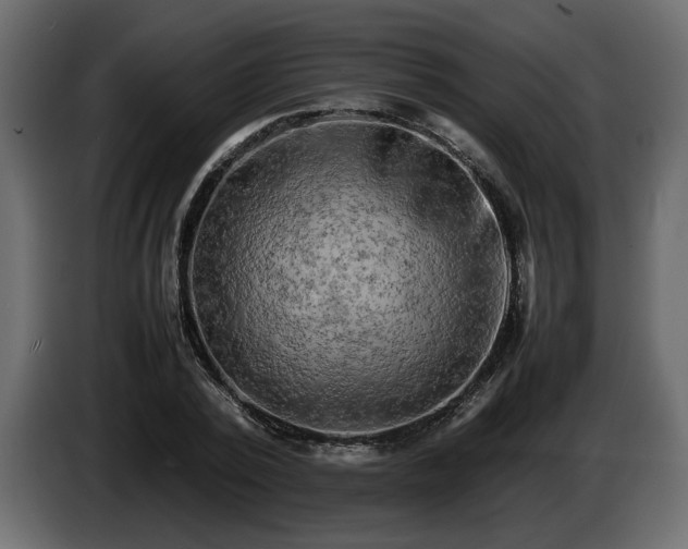 X0000085830784200703231419