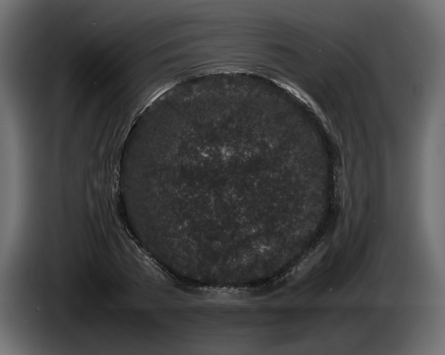 X0000085830785200703231419