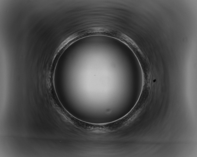 X0000085830786200703231419