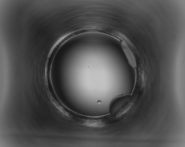 X0000085830788200703231419