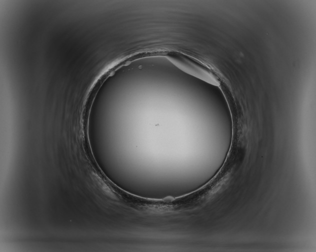 X0000085830789200703231419