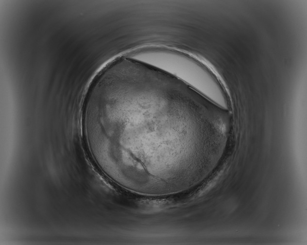 X0000085830791200703231419