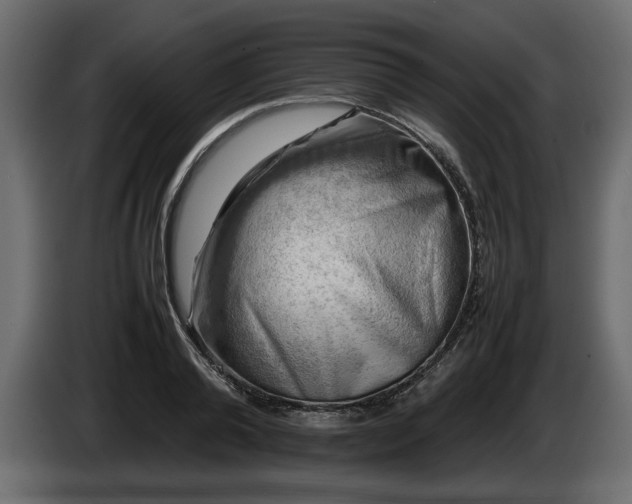 X0000085830792200703231419