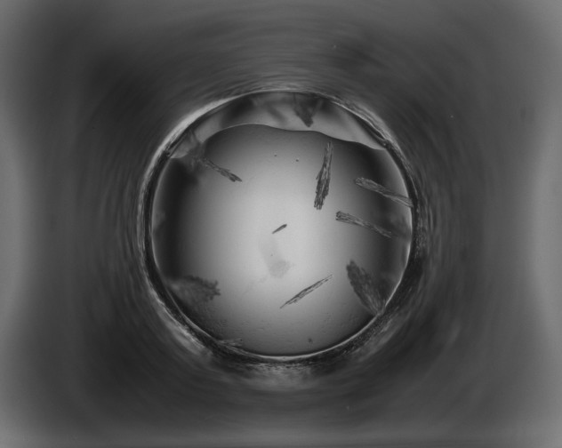 X0000085830795200703231419