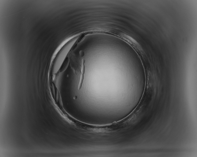 X0000085830796200703231419