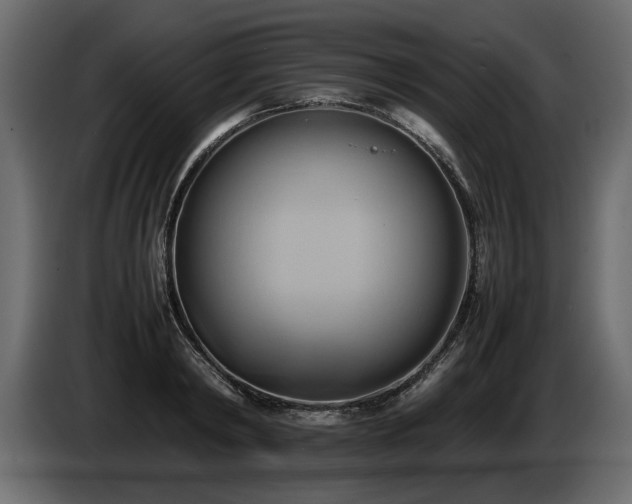 X0000085830798200703231419