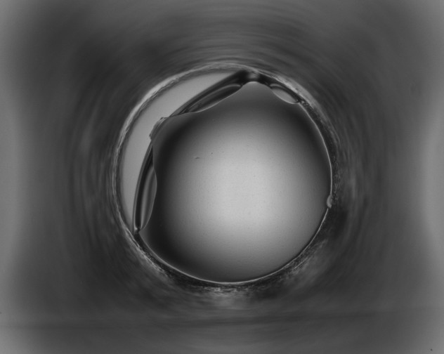 X0000085830799200703231419