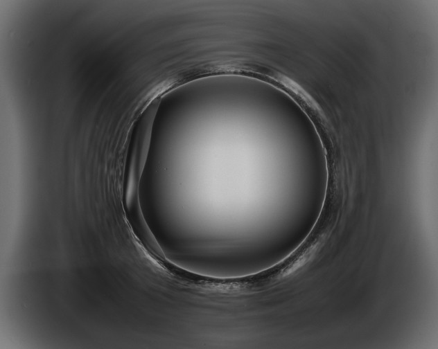 X0000085830801200703231419