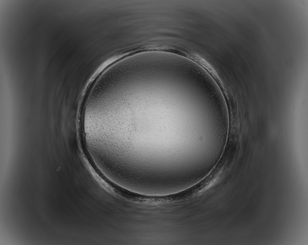 X0000085830803200703231419