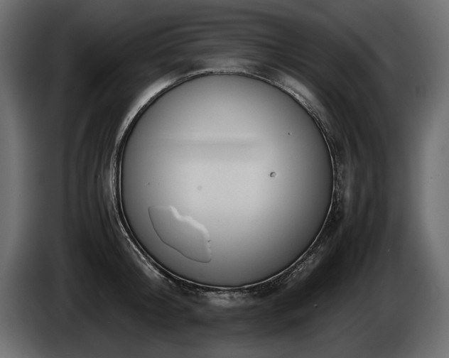 X0000085830804200703231419