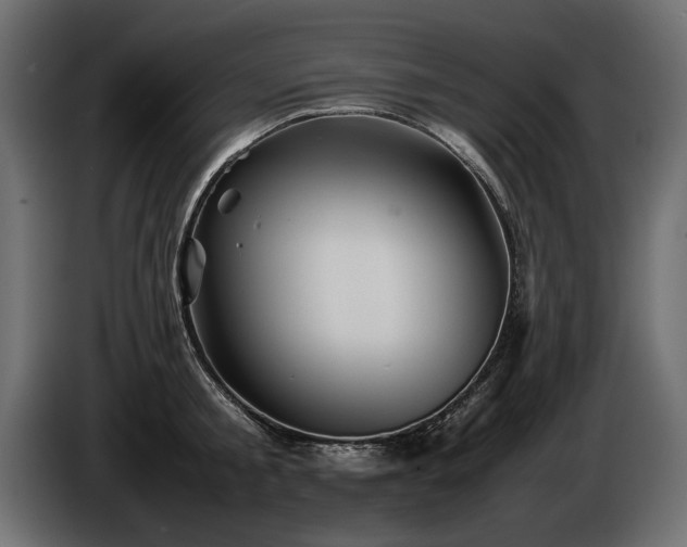 X0000085830805200703231419