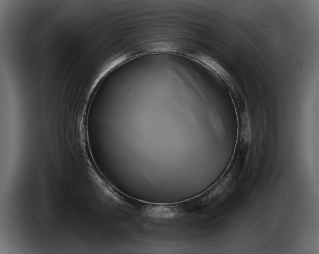 X0000085830806200703231419