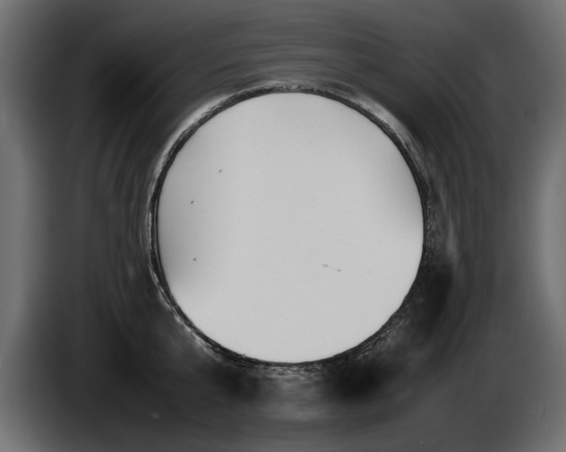 X0000085830807200703231419