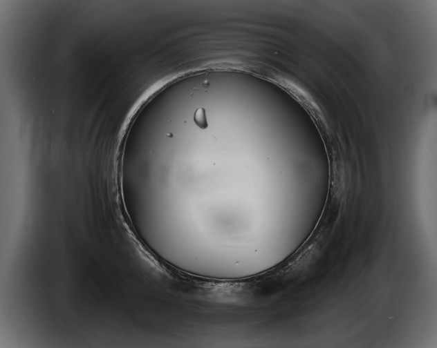 X0000085830808200703231419