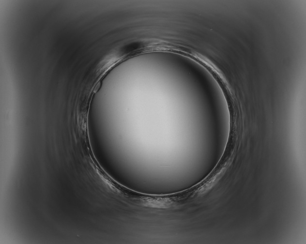 X0000085830809200703231419