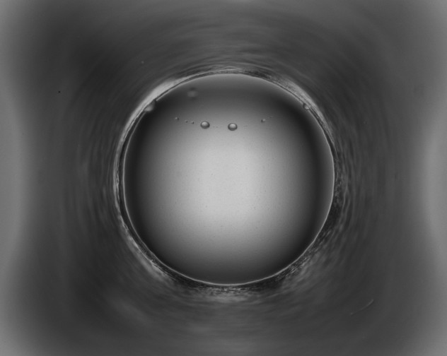 X0000085830811200703231419