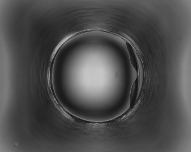 X0000085830812200703231419