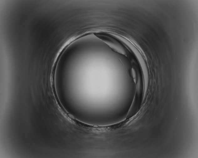 X0000085830813200703231419