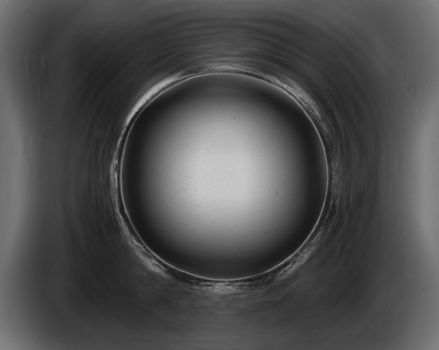 X0000085830814200703231419