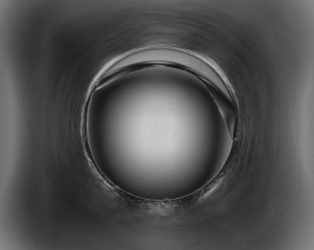 X0000085830815200703231419