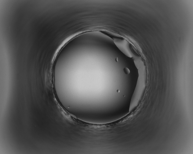 X0000085830816200703231419