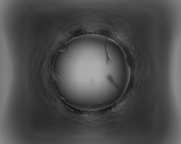 X0000085830817200703231418