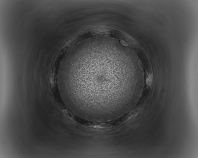 X0000085830819200703231418