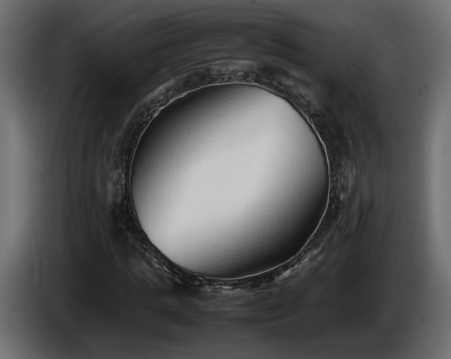 X0000085830821200703231418