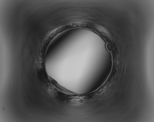 X0000085830822200703231418