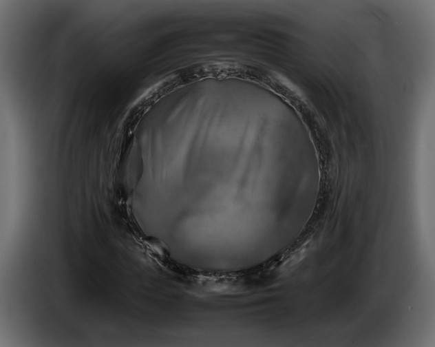 X0000085830823200703231418