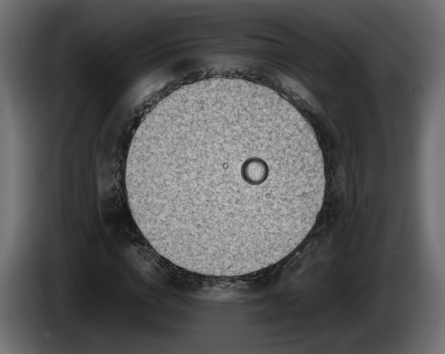 X0000085830824200703231418