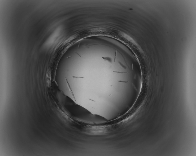 X0000085830825200703231418