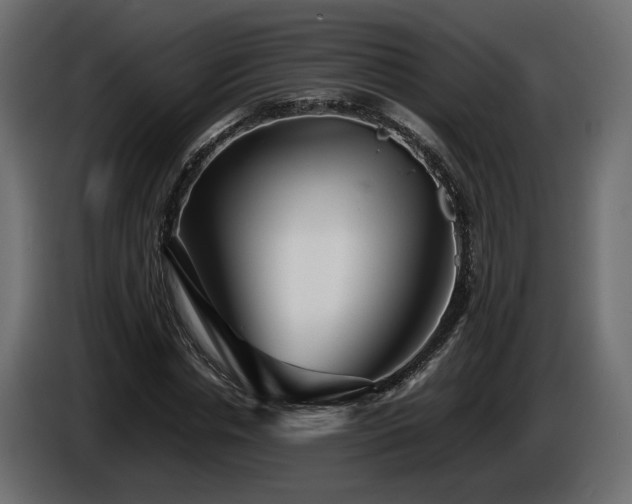 X0000085830826200703231418