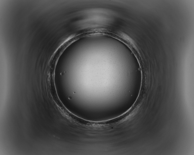 X0000085830827200703231418