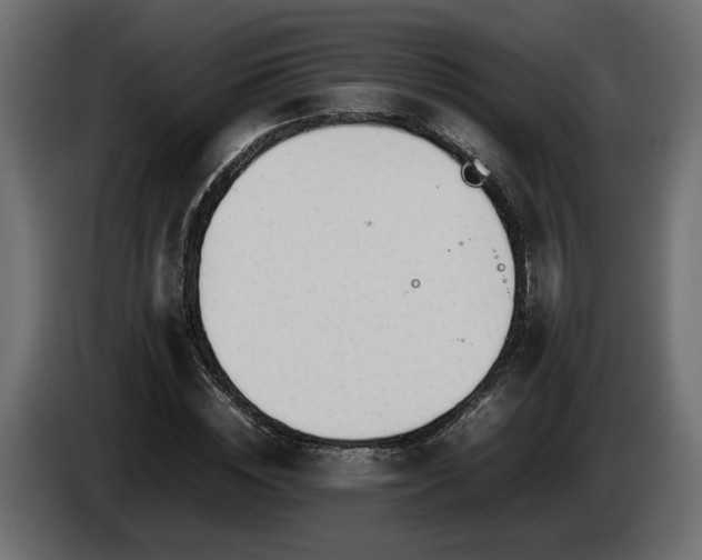 X0000085830828200703231418