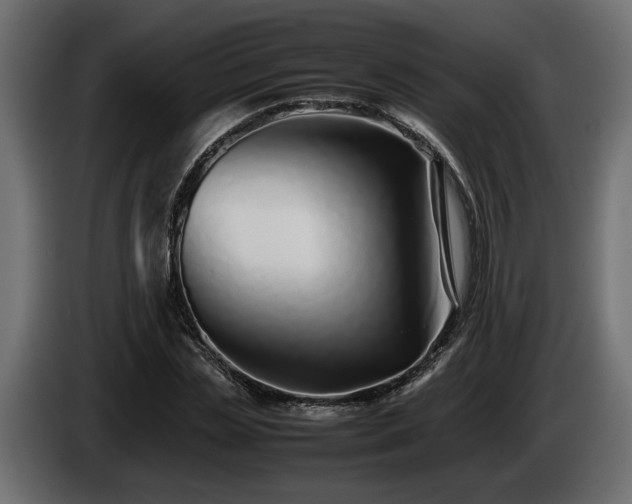 X0000085830829200703231418