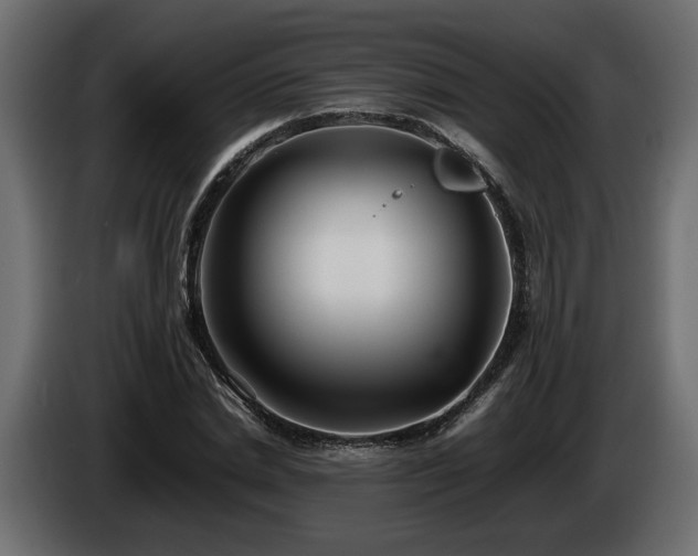 X0000085830830200703231418