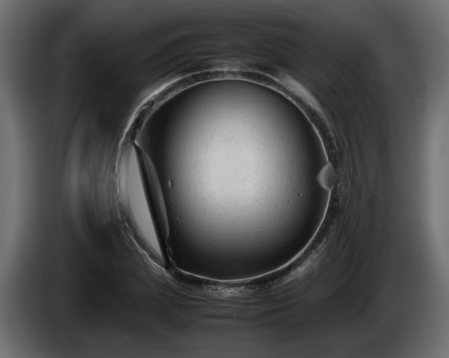 X0000085830831200703231418